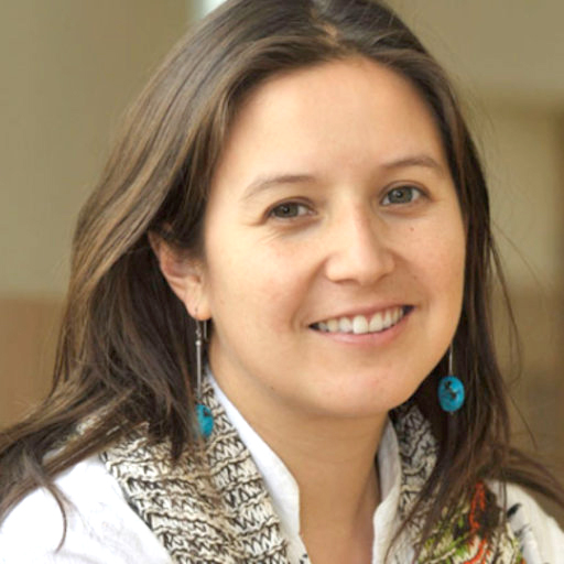 Javiera Barrera y el sistema Integrado en la Renta de Impuestos “Este modelo nos permite mostrar al país cuánto pierde por su no implementación”