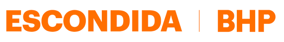 Oferta Laboral – Escondida BHP (Ingeniero/a PMO – Empresa Externa)