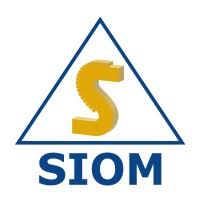 Memoria de Título – SIOM SpA (Procesos Productivos para la Minería)