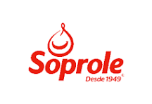 Práctica Profesional – Soprole (Planificación de la Producción / Operaciones)